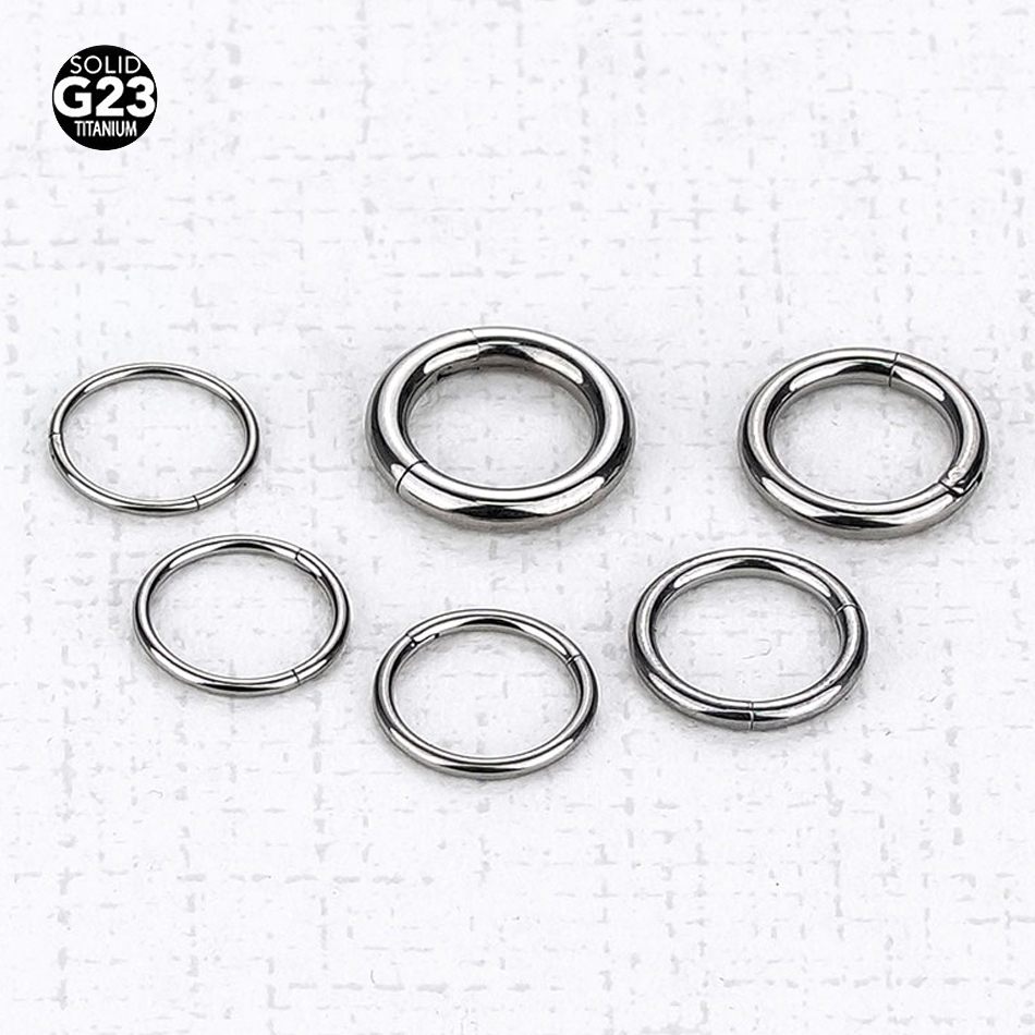 1PC G23 Titanium Hinged Segmen - Septum Clicker Ring review and price